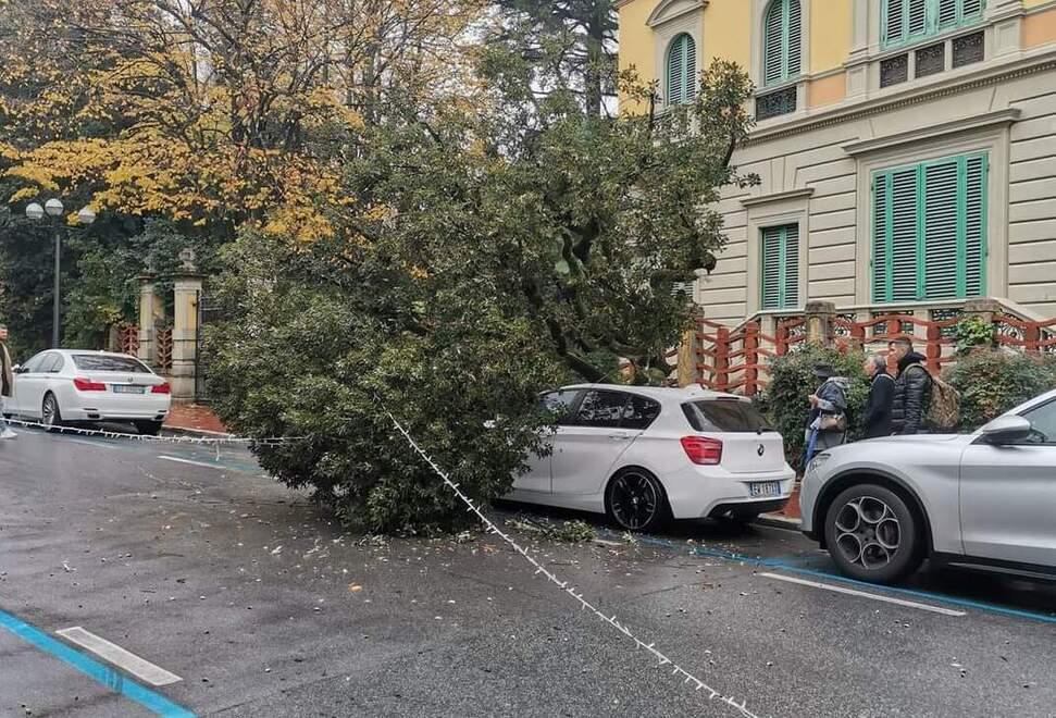 L’albero caduto su un’auto in via IV Novembre (foto da Facebook