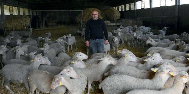 La famiglia di agricoltori finita sul lastrico: «Aiutateci a trovare una casa»