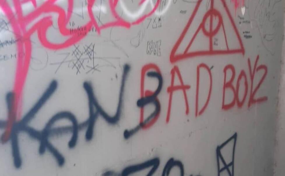 Vandali fuori da scuola, imbrattano i muri con volgarità