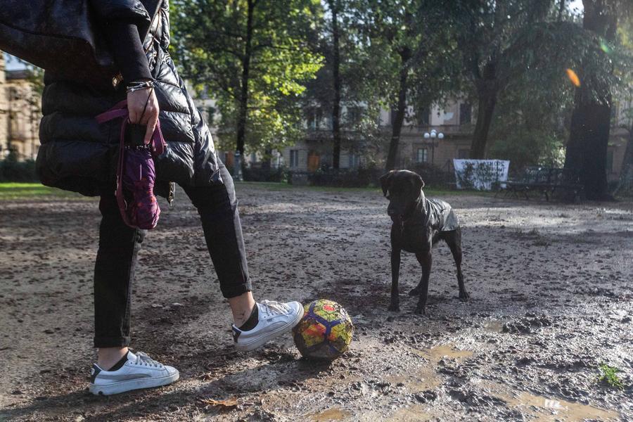 Gli offende il cane: preso a bastonate