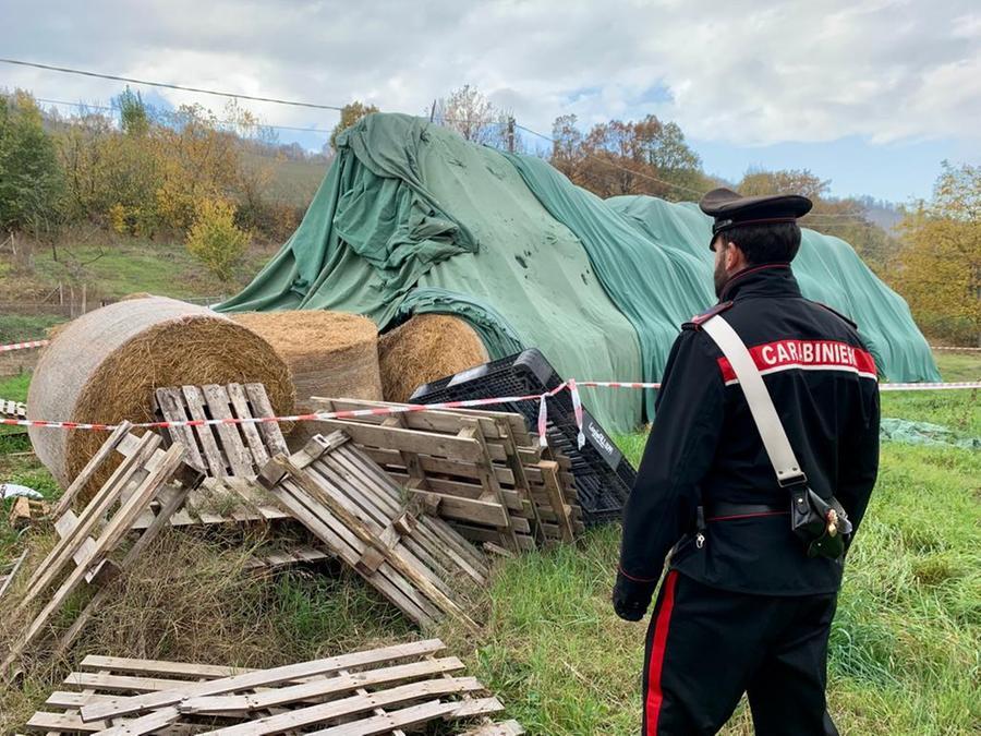 Muore Schiacciato Da Una Rotoballa Gazzetta Di Reggio