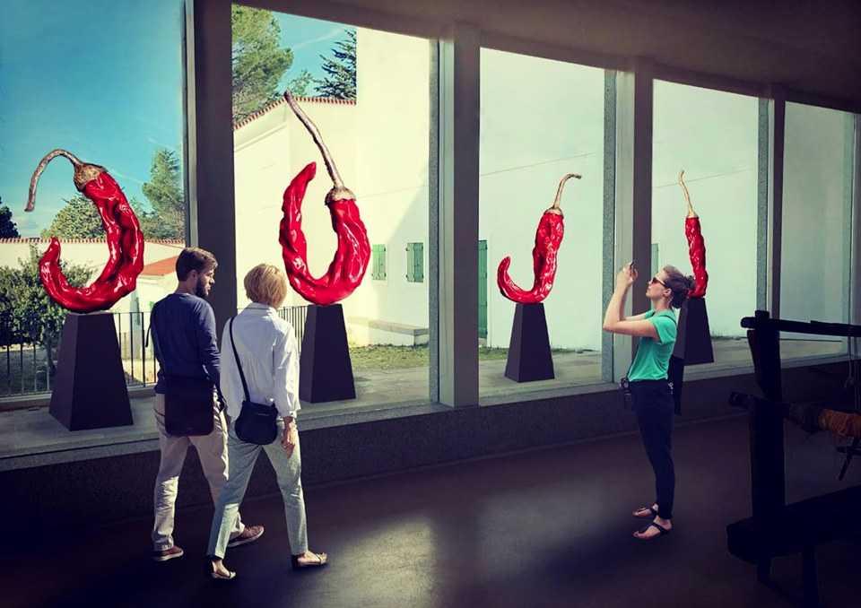 I primi 50 preziosi anni dell’Isre