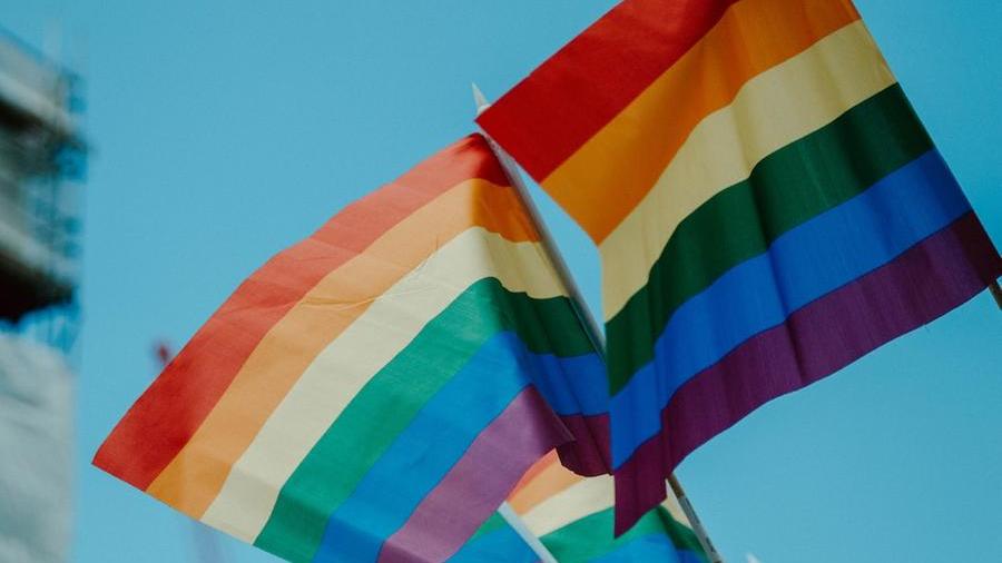 Solo una mamma per i gemelli: così il tribunale Arezzo sul ricorso di due donne