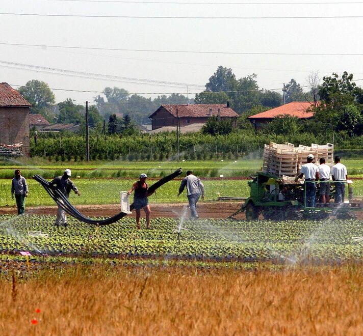 Cibi sintetici, anche il sindaco firma la petizione di Coldiretti