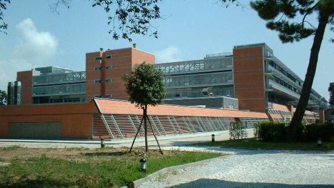 Centralino dell’ospedale in tilt: istituito un numero per chiamate urgentissime