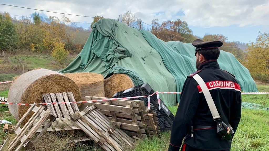 Infortunio mortale, si indaga