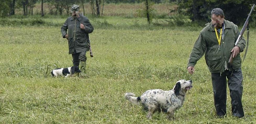 Pavullo. Cacciatore offre risarcimento per la gallina ed è preso a cazzotti: ricoverato in ospedale 