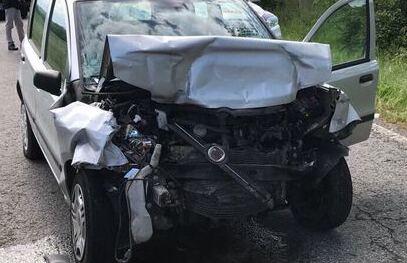 Incidenti provocati da animali: Parco e Comune non sono tenuti a pagare i danni