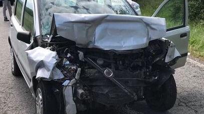 Incidenti provocati da animali: Parco e Comune non sono tenuti a pagare i danni