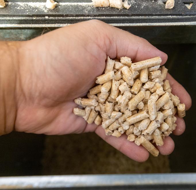 Lidi, pellet prenotato e mai ricevuto