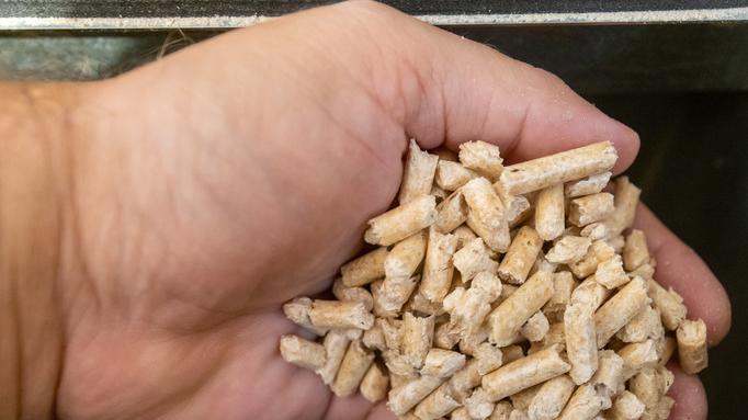 Lidi, pellet prenotato e mai ricevuto