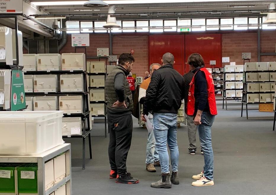 Modena. Ventimila esemplari di volatili sono già nei padiglioni della fiera 