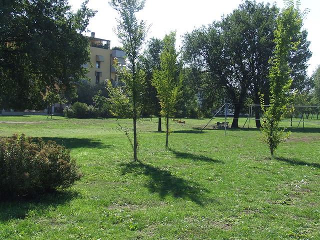 «Sì all’illuminazione al parco di via Ungheria»