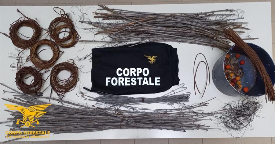 Capoterra, bracconiere colto con le mani nelle trappole che stava utilizzando