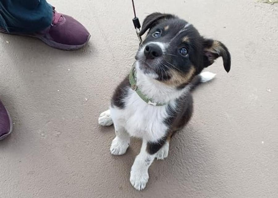 
	Orazio nel piazzale del distributore de La Rosa di Terricciola

