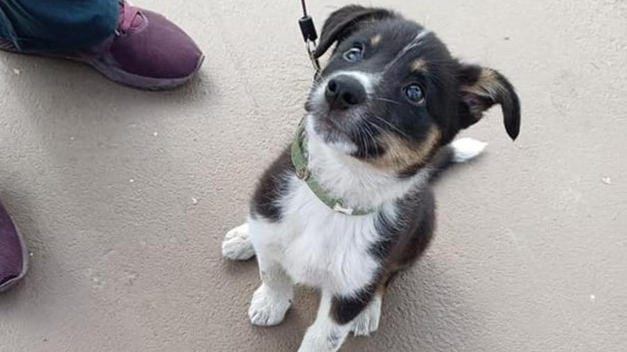 Orazio nel piazzale del distributore de La Rosa di Terricciola