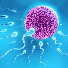 Lezioni di educazione sessuale a scuola: «Servirebbero, molti non sanno cosa sia un contraccettivo»