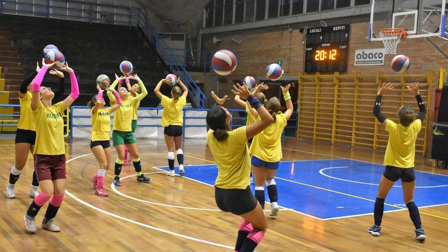 La Unionvolley sottotono cede in tre set con Livorno