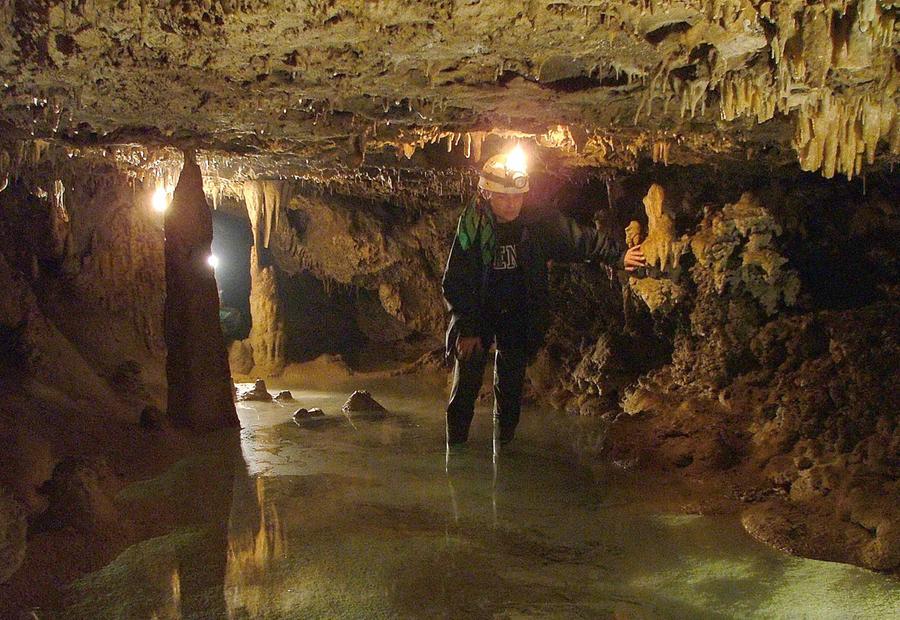 Vintage Retro WD40 Spray Garage Tools Mechanic Motor Garden Man - Foto 9