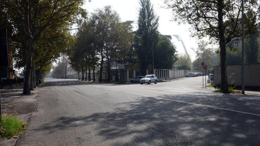 «Nuova rotatoria in via Montecuccoli»