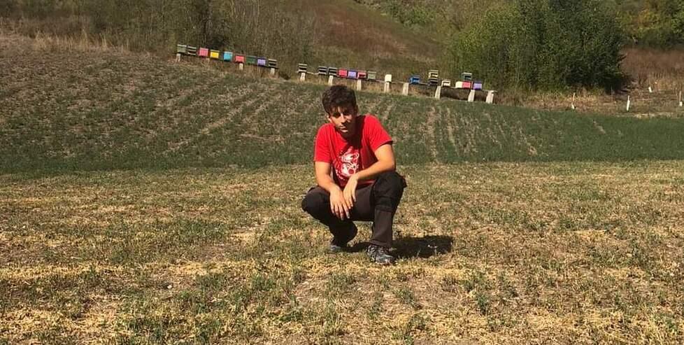 Le api? A Sassuolo si adottano «Così le possiamo tutelare»