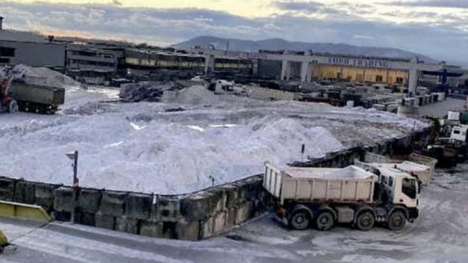 Sos alla Regione per la marmettola: decine di aziende della Versilia in pericolo