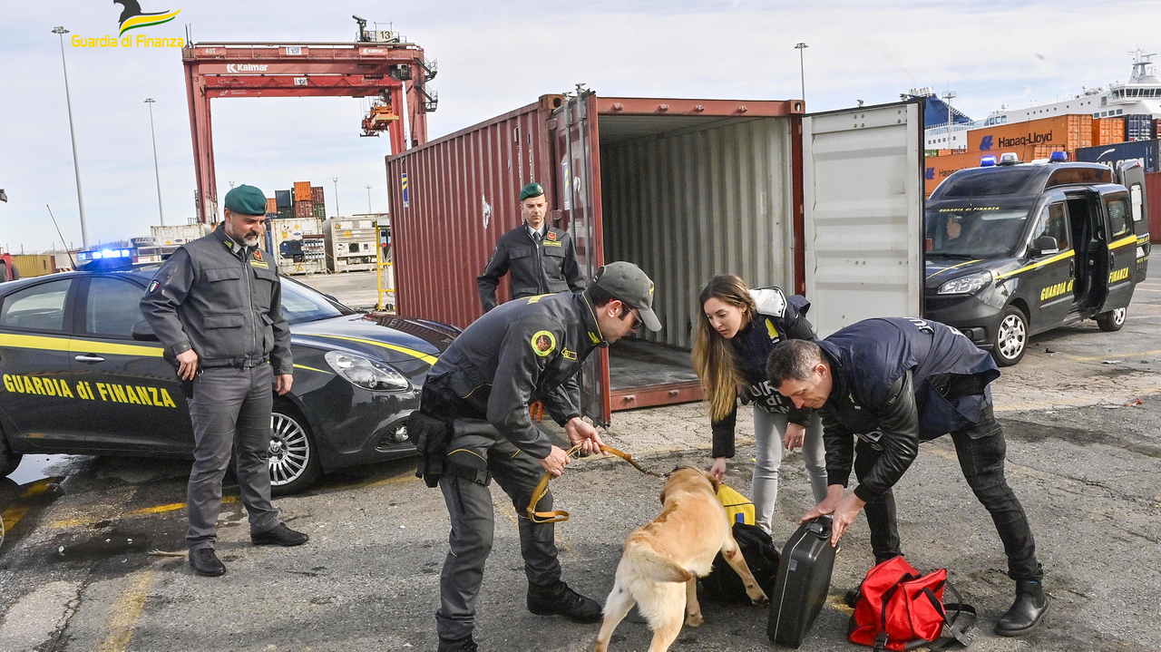 Trovato nel porto di Livorno con nove chili di cocaina: arrestato camionista