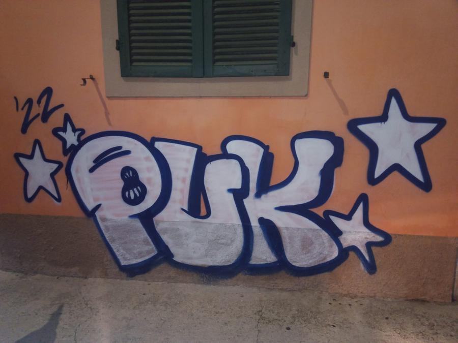 
	Una delle scritte eseguite dai ragazzi poi fermati dalla polizia

