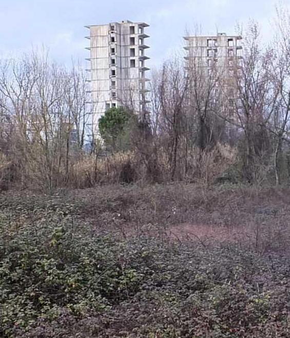 Cisanello, 58mila euro per l’area verde