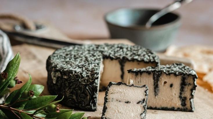 Veghu Lab, ecco il formaggio che arriva dalle piante