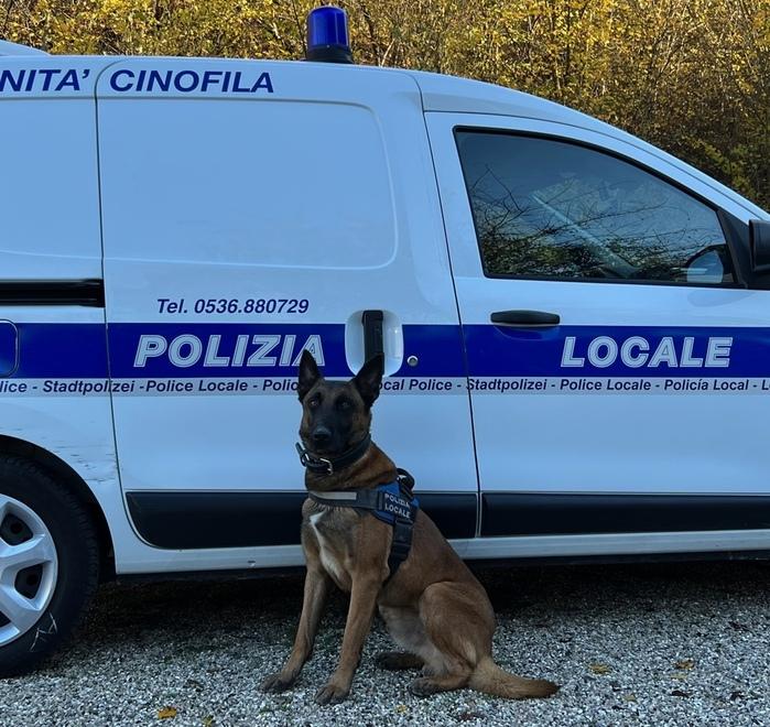Sassuolo. Hector trova droga nel parco 