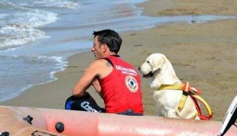 L’addio a Eva, cane bagnino eroe: salvò un bambino che stava annegando ...
