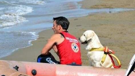 L’addio a Eva, cane bagnino eroe: salvò un bambino che stava annegando a Baratti