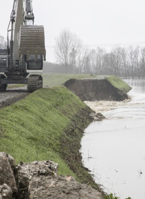 Nonantola. «Alluvione, dove sono i rimborsi? Rischio il crac della mia libreria» 