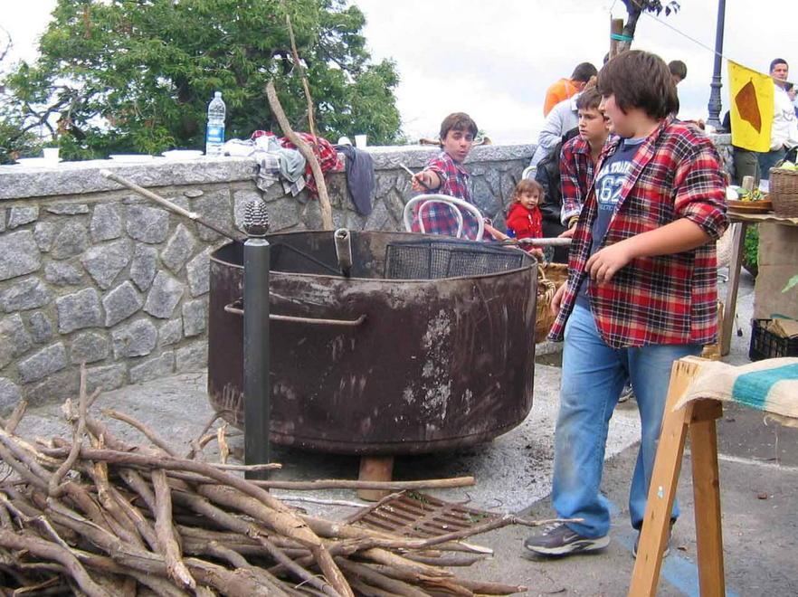 Castagne, raccolto in calo ma la lotta al cinipide va 