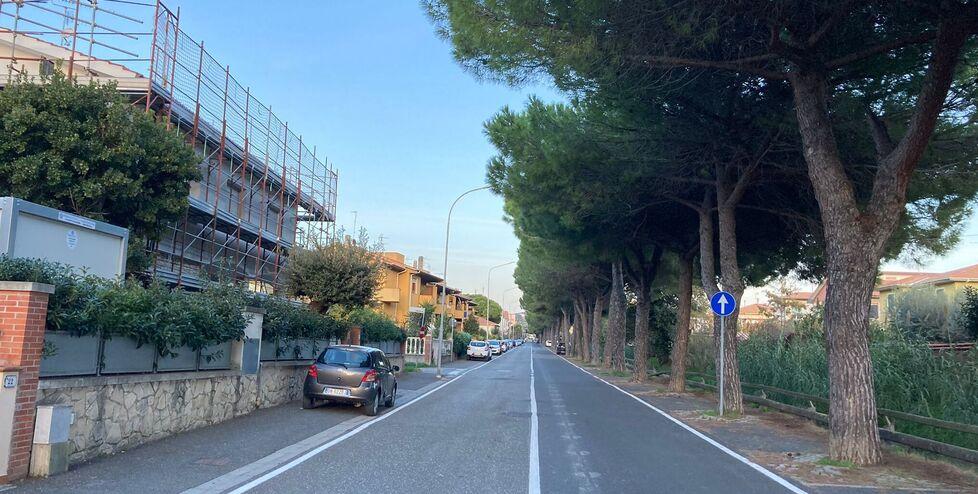 Uno scorcio di via dei Mille a Rosignano Solvay: qui il Comune interverrà per sostituire i pini presenti con altre alberature di minor impatto sull’asfalto (foto Michele Falorni/Silvi)