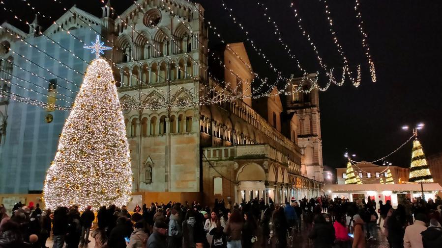 In arrivo a Ferrara l’albero di Natale da 14 metri