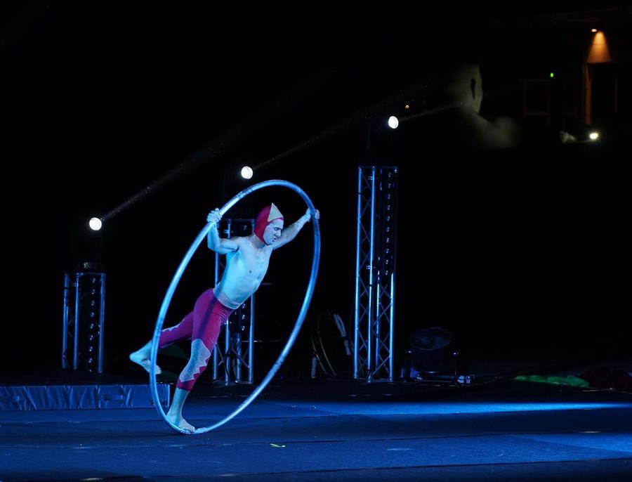 Gli acrobatici Sonics e altri show: ecco la piazza natalizia di Ferrara