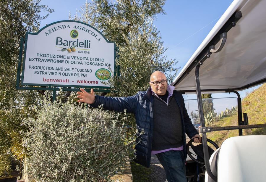 Pieraccini, il medico di famiglia che ama curare anche gli olivi