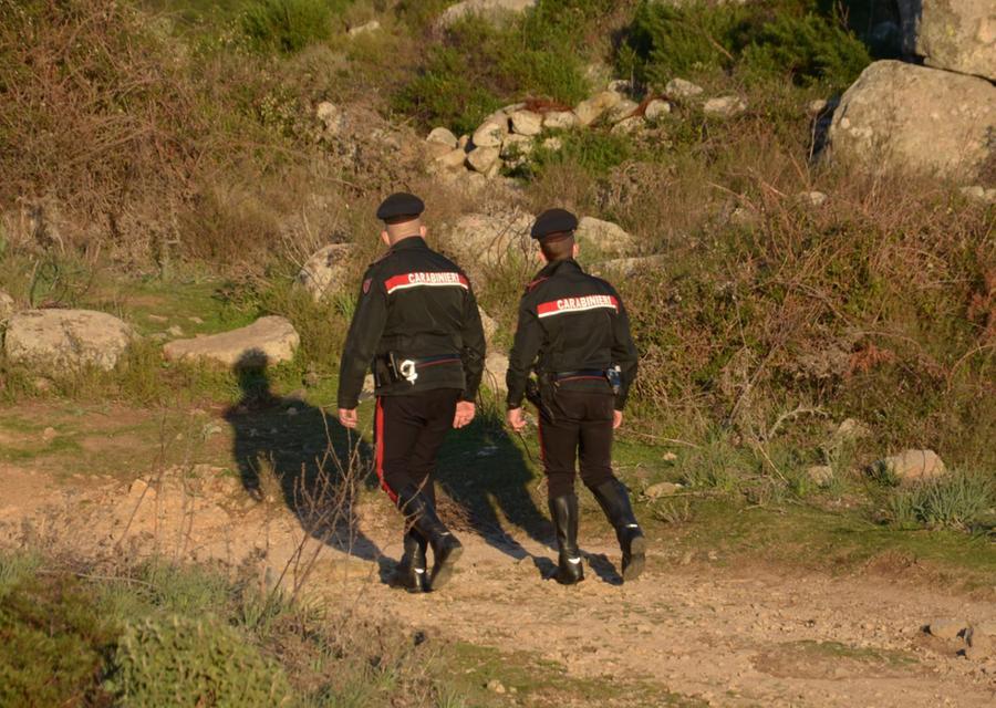 Dolianova, allevatore accusato di avere ucciso un cane con un colpo di fucile