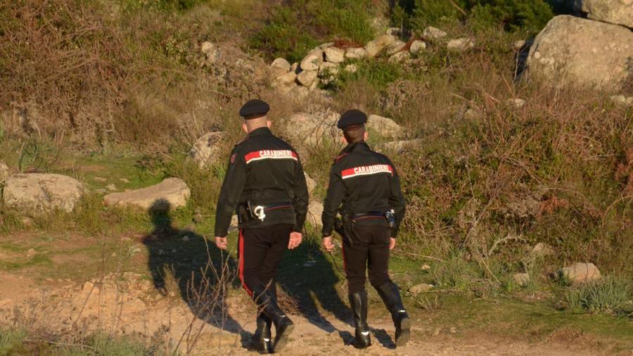 Dolianova, allevatore accusato di avere ucciso un cane con un colpo di fucile