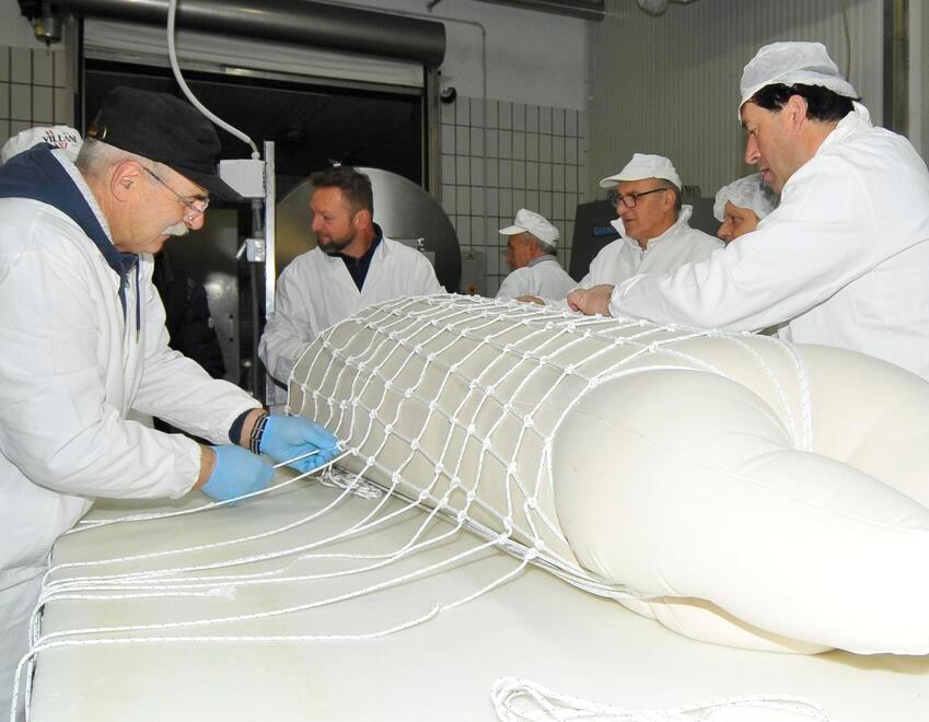 Castelnuovo Tutto pronto per il Super Zampone Il programma