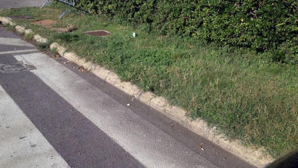 Le strisce pedonali off-limit finiscono con scalino e prato