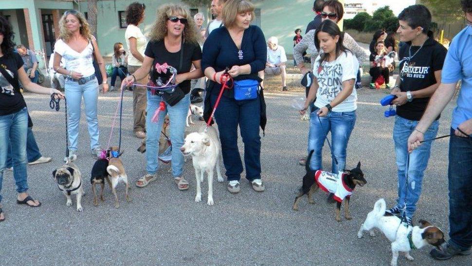 A Silì sfilata di cani: spazio per tutti anche senza pedigree