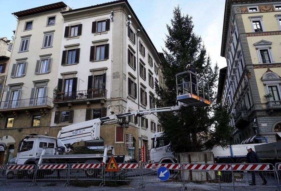 Arriva dalla fata delle Dolomiti l’albero di Natale di piazza Duomo a Firenze