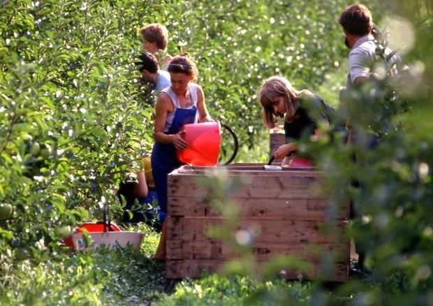 "Grazie a teoria e pratica saremo gli agricoltori 4.0" 