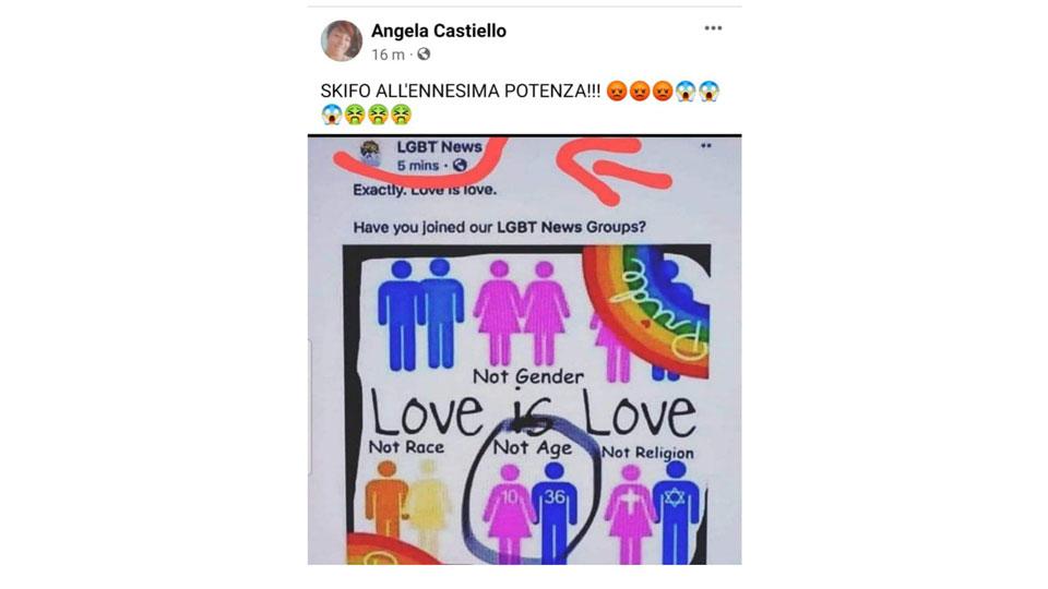 Rilancia una bufala sulla pedofilia, bufera sulla consigliera Castiello