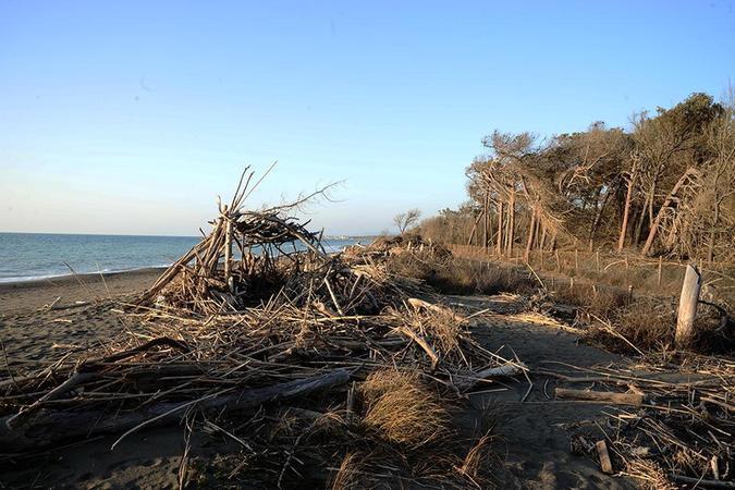 
	La spiaggia di Bibbona dove sarebbe avvenuto lo stupro

