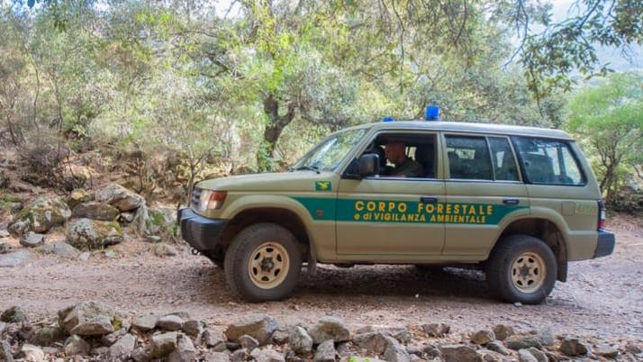 Gonnosfanadiga: arrestato bracconiere dedito anche allo spaccio e alla ricettazione di armi