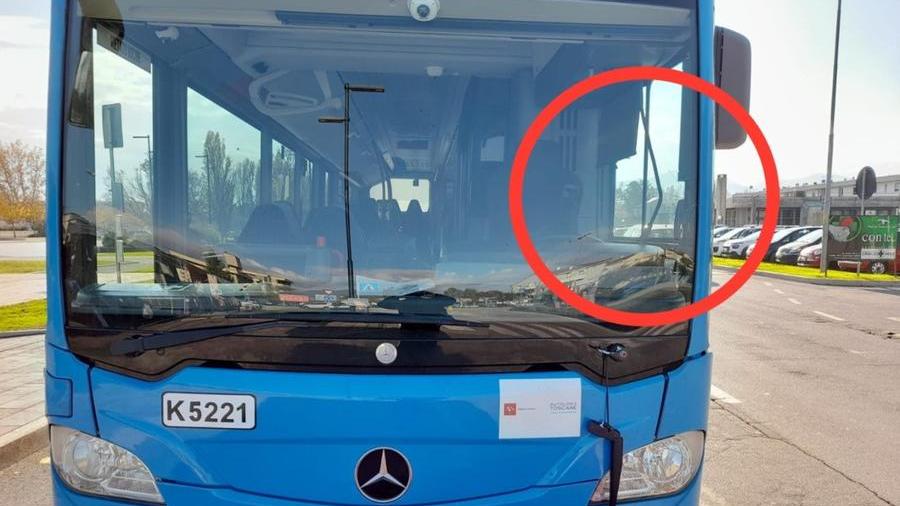 Tenta di aggredire l’autista di un bus e spacca il parabrezza